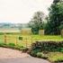 Caravan Site Photo 1