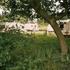 Caravan Site Photo 1