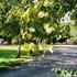 Caravan Site Photo 1