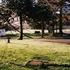 Caravan Site Photo 1