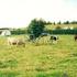 Caravan Site Photo 1