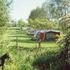 Caravan Site Photo 1