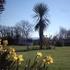 Caravan Site Photo 1