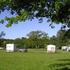 Caravan Site Photo 1