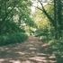 Caravan Site Photo 1