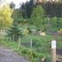 Caravan Site Photo 1