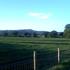 Caravan Site Photo 1