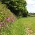 Caravan Site Photo 1