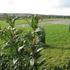 Caravan Site Photo 1