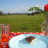 Caravan Site Photo 1