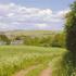 Mains of Fordoun Caravan Site