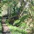 Caravan Site Photo 1