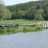 Caravan Site Photo 1