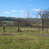 Caravan Site Photo 1