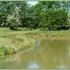 Caravan Site Photo 1