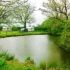 Rosemarie Caravan Site