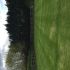 Yew Tree Farm Holidays